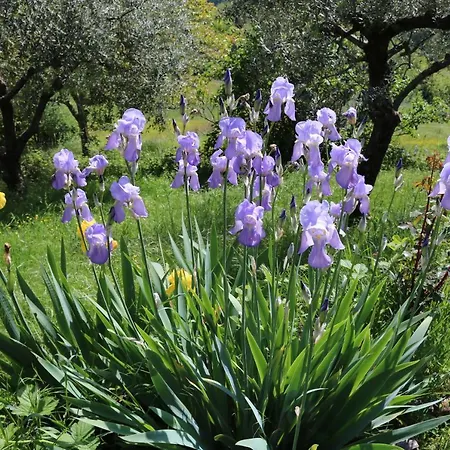 Bed&Breakfast Casa Lisetta Valtopina Esterno foto