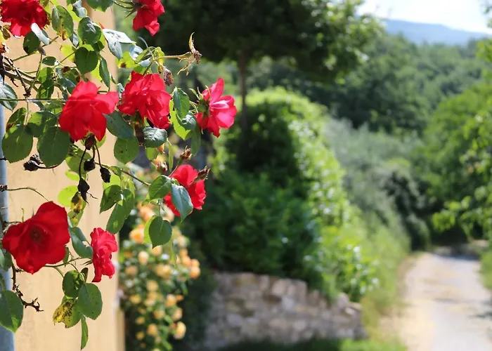 Bed&Breakfast Casa Lisetta