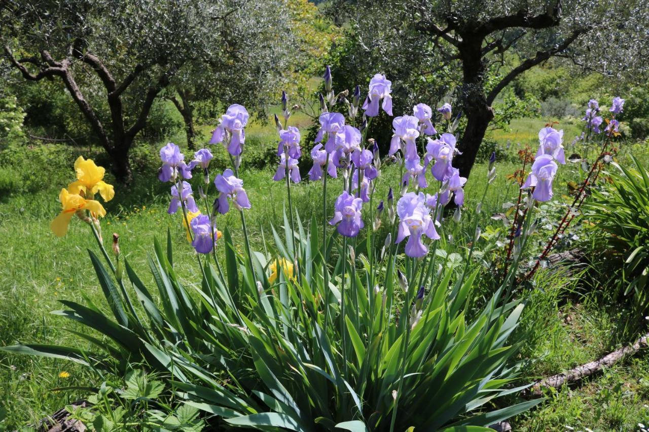 Casa Lisetta * Valtopina