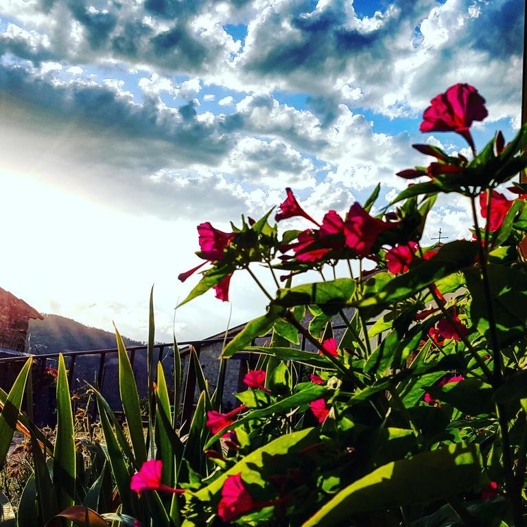 Bed & Breakfast Casa Lisetta