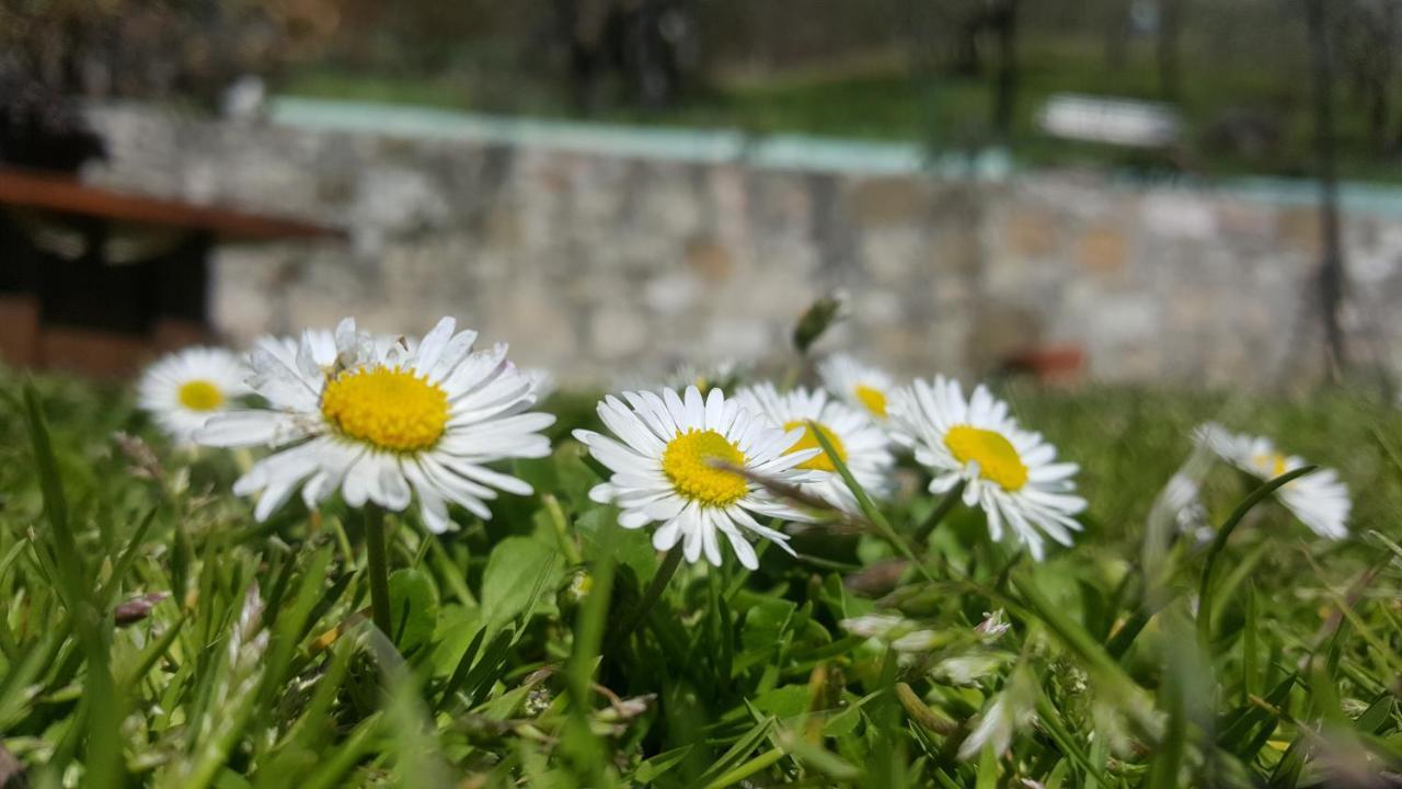 Bed & Breakfast Casa Lisetta Valtopina