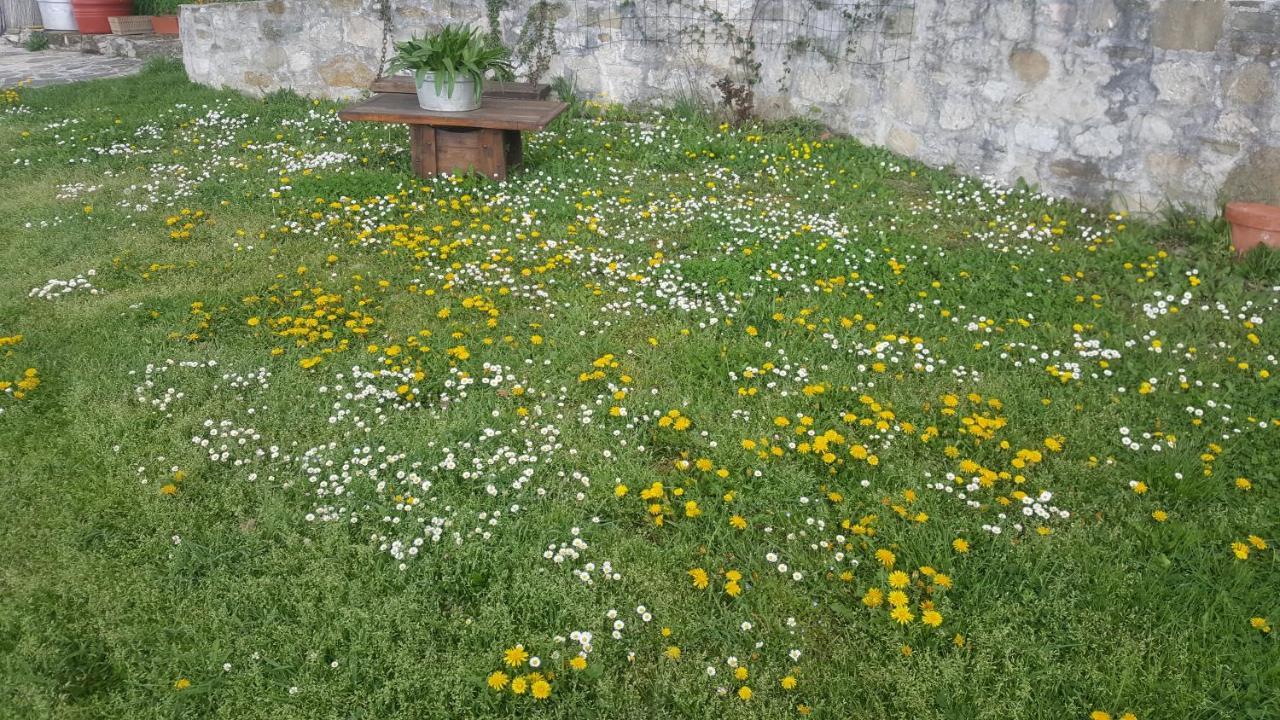 Casa Lisetta Bed & Breakfast *