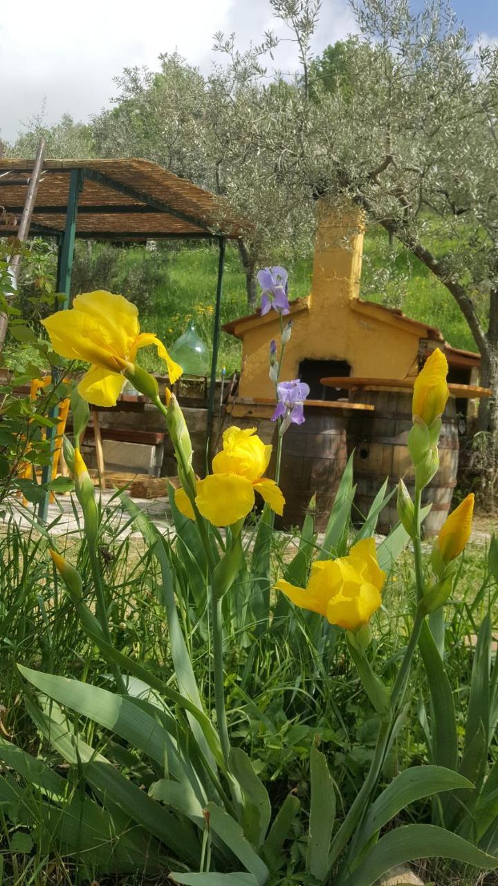 Bed & Breakfast Casa Lisetta Valtopina