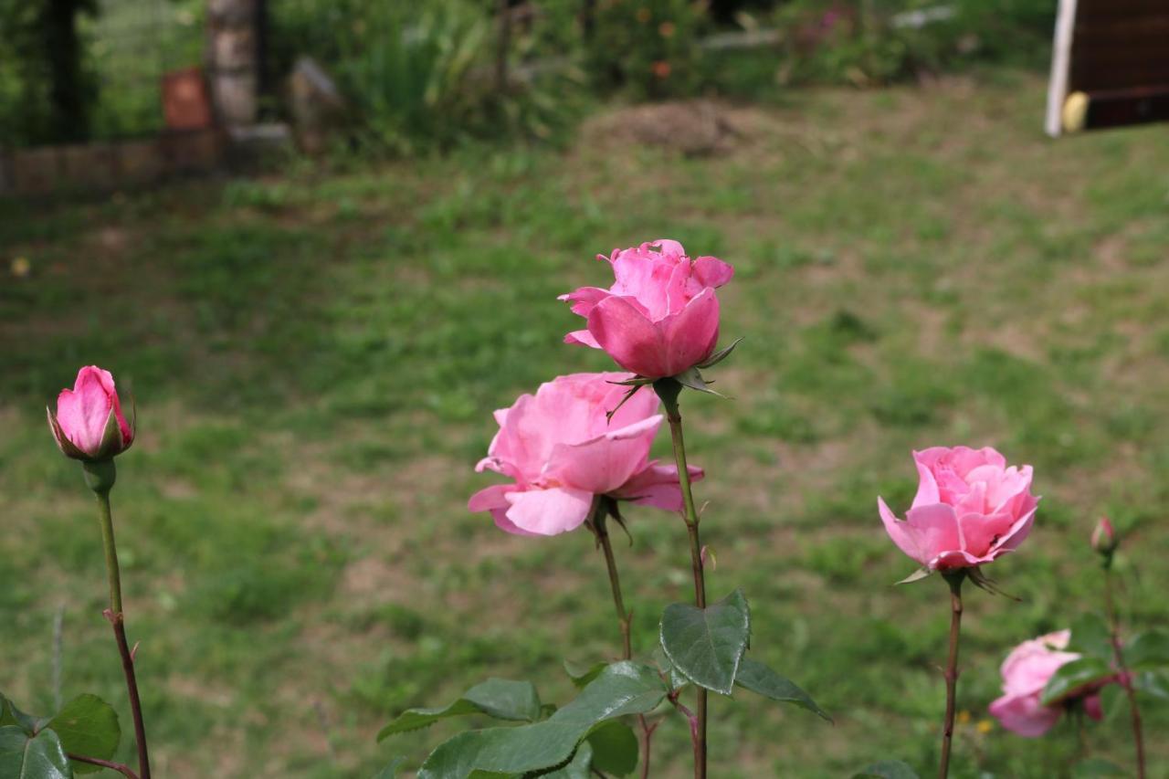 Casa Lisetta Bed & Breakfast *