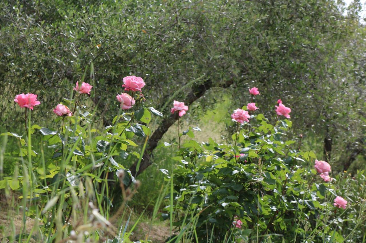 Bed & Breakfast Casa Lisetta Valtopina