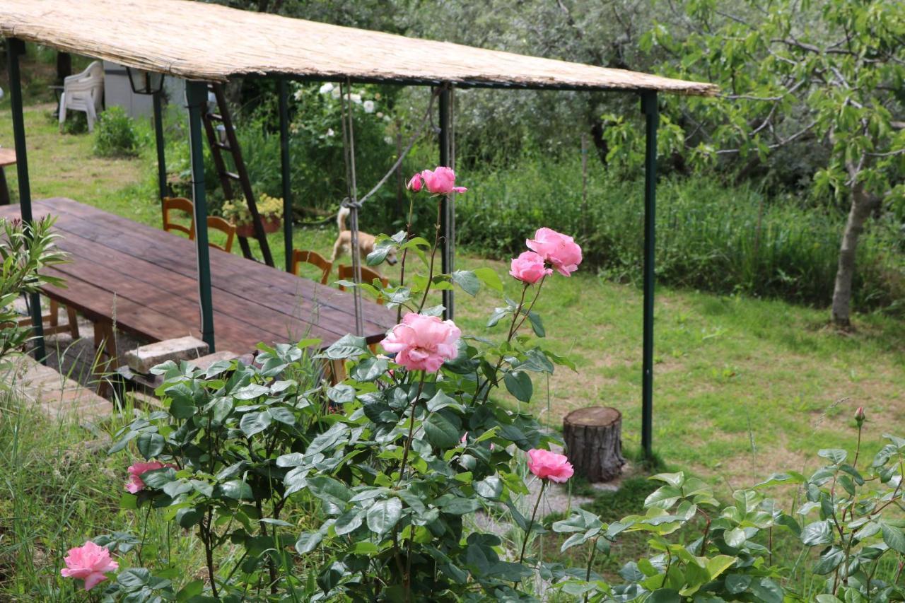 Bed & Breakfast Casa Lisetta Valtopina