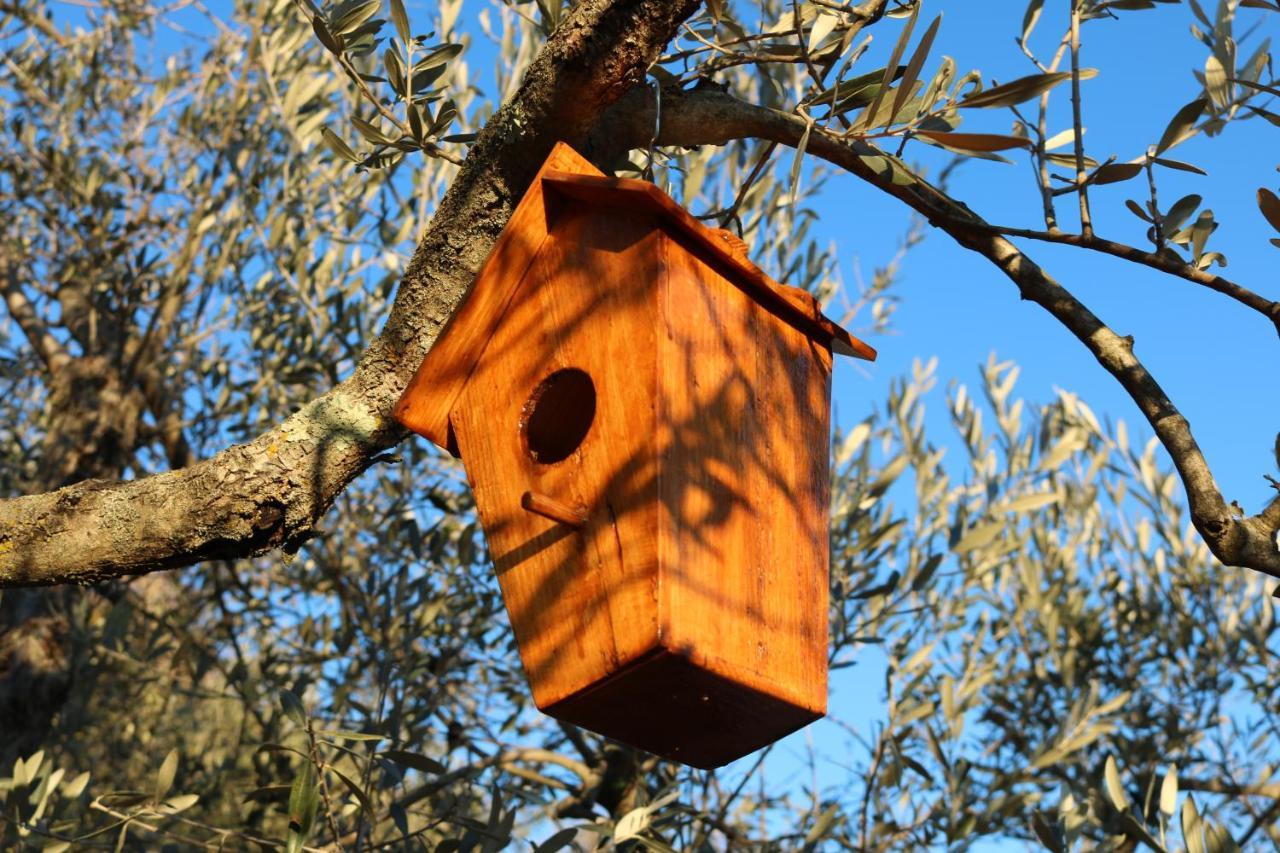 Casa Lisetta Bed & Breakfast *